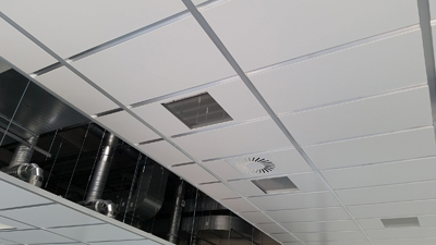 Suspended Ceilings 